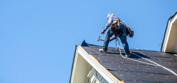 Best Roof Gutter Cleaning  in Owings, MD